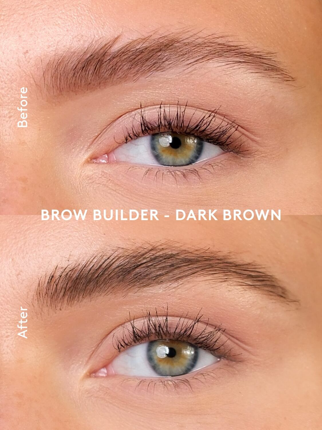 Brow Builder