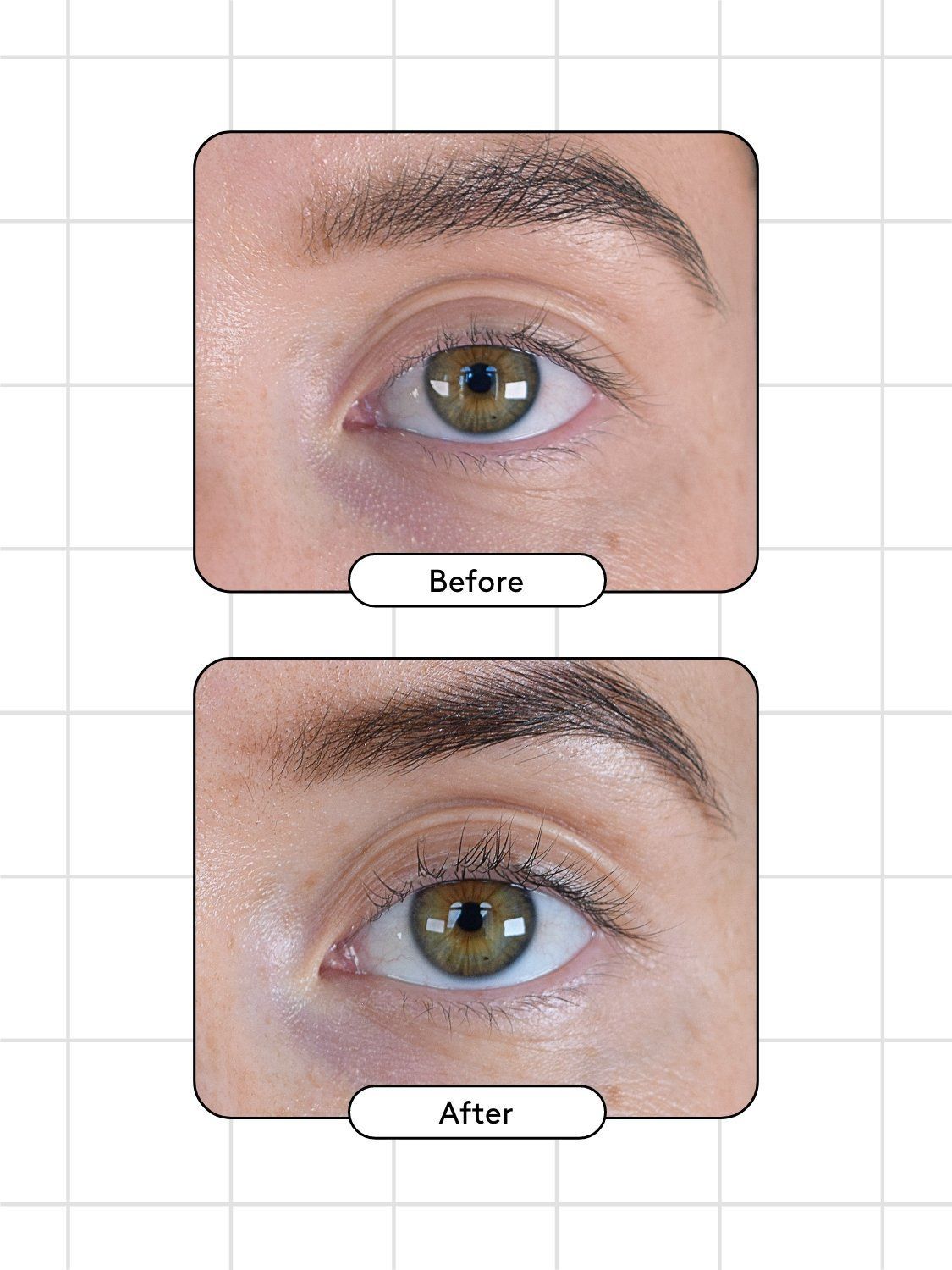 Xlash Ögonfransserum 3ml + Gratis Brynvax På Köpet