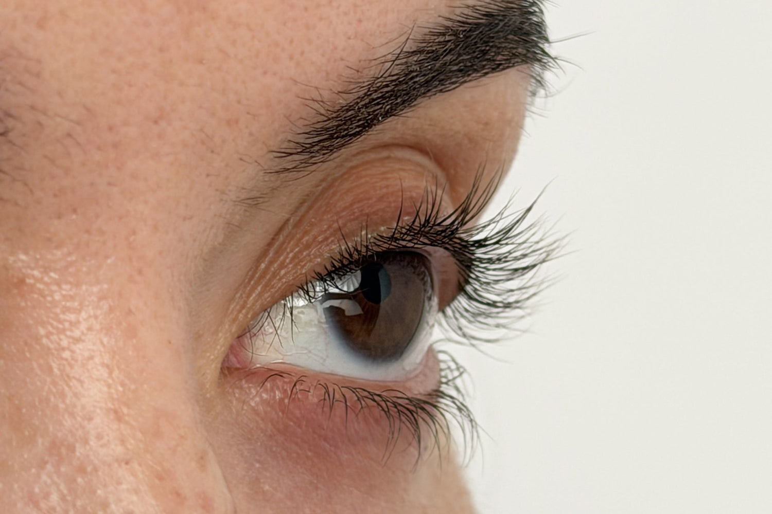 Dina fransars 3 faser