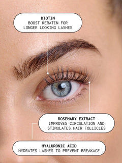 Xlash Ögonfransserum 3ml