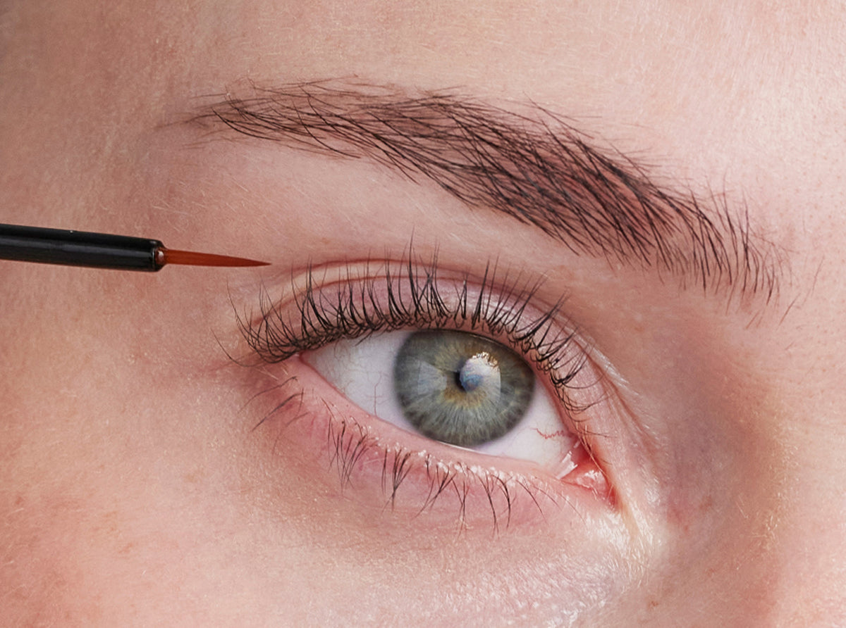 Eyeconic bestseller kit