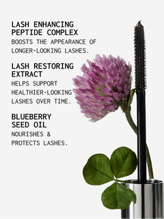 Lash & Brow Booster Duo Xlash