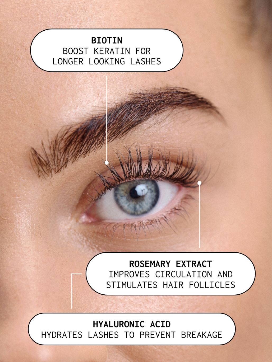 Xlash Ögonfransserum 1ml
