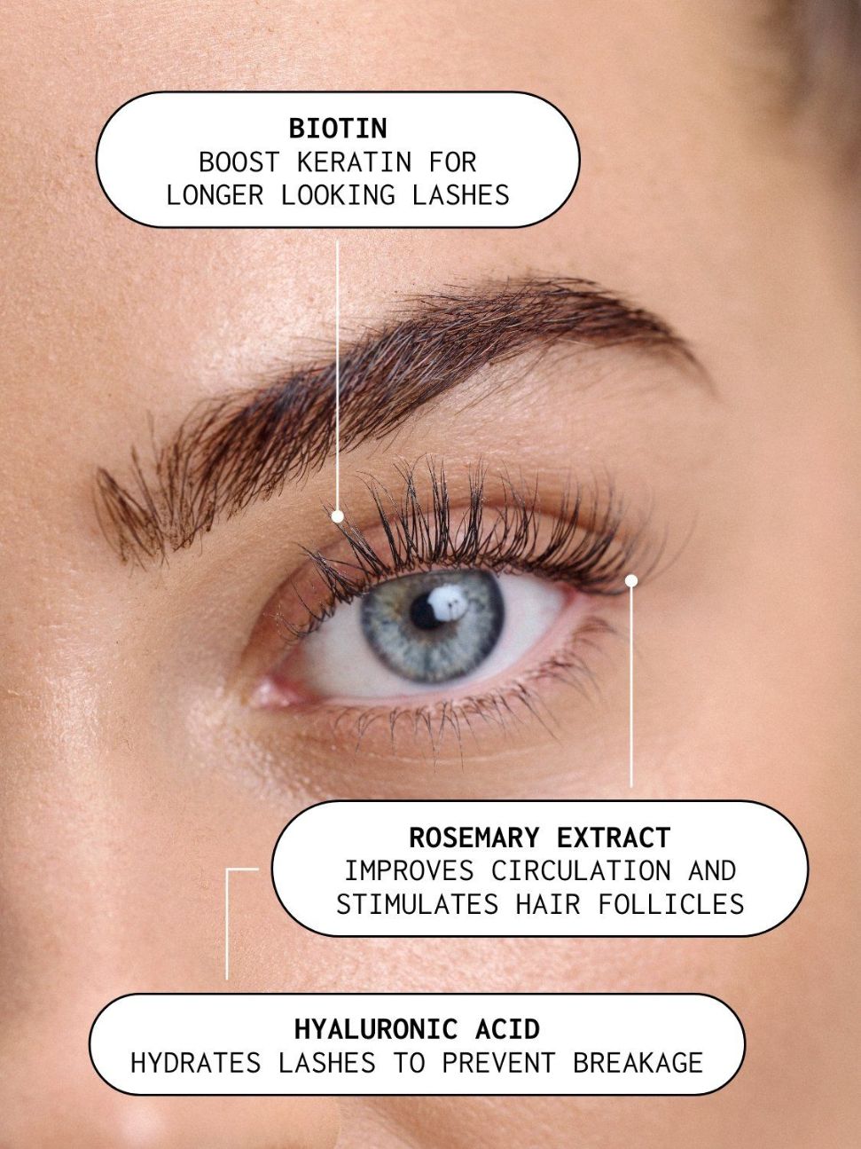 Xlash Eyelash Serum 3ml + Free Hydro Gel Mask 1 pcs
