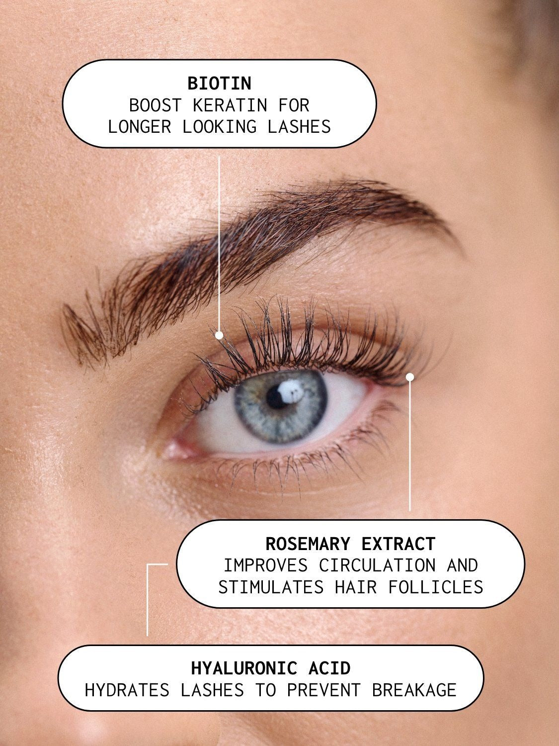 Xlash Eyelash Serum 1 ml + FREE Hydro Gel Mask 1 pcs